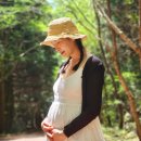 안시하 카카오 검색결과