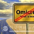 로데오하마 이미지