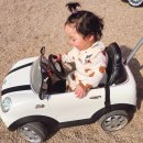 대형견 이발소 | 칠곡군지천면애견카페/왜관 구미근교,대구근교 반려견 데려가기좋은 애견카페 운동장 웨이브독