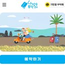 가방을 부탁해 : 제주도 뚜벅이 여행을 위한 제주짐옮김이 서비스 / 이용방법 및 후기