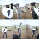 이목목장 이미지