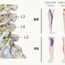 다나고한의원 이미지