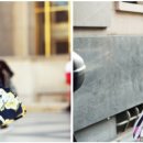 안경, 봄날 이미지