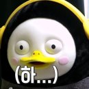 째리이미지