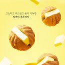 코코호도 영통구청점