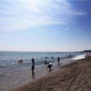 장사해수욕장관광지 이미지