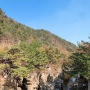 무릉도원 이미지