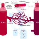 시원비뇨의학과의원 이미지
