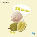 몽블랑제 김포점 | [공지] 임신 34주차 일상 (이대서울 김수정 교수님 교차진료, 34주 태아무게, 막달 임산부 몸무게 배...