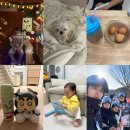 금잔디유치원 | [1월] 1월의 마지막날 기록하고 싶은 일상 남기기!