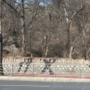 멍믈리에 | [26 Jan _ 삼척 여행기] 한 달이 훌쩍 지나서야 올리는, 수리 백수된 기념으로 떠났던 강원도 힐링...