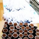 대죽농장 이미지