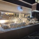 눈꽃을 나누다 이미지