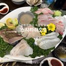 하하호호우리약국 | 의정부 민락동 숙성회 맛집 스시하하호호 내돈내산 후기