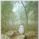 아름다운날들 이미지