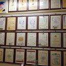 경희대성웅태권도 이미지