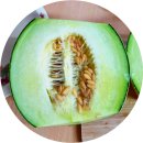 #싱싱한 내돈 내산 메론,쿠팡에서 구매한 후기#