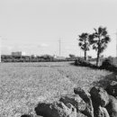 동일리-10 이미지