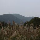 선녀상회