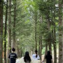 아버지의 숲 산정캠프 이미지