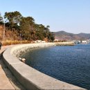 학림도 Daum카페