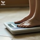 (주)온앤원 이미지