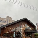 호계매곡지구 | 울산 북구 호계 북해도식 양고기 화로구이 맛집 히츠지 솔직 후기ㅣ매곡 보양식 맛집으로 강력 추천