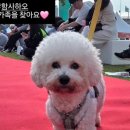 으르렁대 이미지