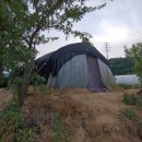 섬강농장 이미지