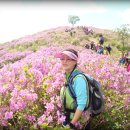 산철죽 군락지 이미지