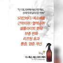 바디디톡스