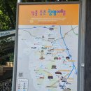 동구리산림욕장 공중화장실 | 친구들과 함께한 광명 구름산 등산기: 피톤치드 가득한 자연 속 힐링 산행 🌿