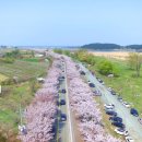 양양군 야구장 이미지