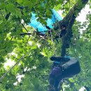 모현119안전센터 이미지