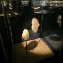 석장리박물관 이미지