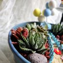 토닥토닥 마음을 위로하는 그림책 이미지