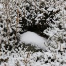 우장산공원 이미지