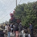 서귀포시동부도서관 이미지