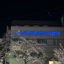 울산광역시 남구 삼호동 행정복지센터 | 울산 남구 삼호동 무거동 무거천 궁거랑 벚꽃구경 벚꽃놀이 벚꽃명소