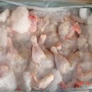 웰스독 치킨 무료샘플 신청 하세요 이미지