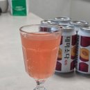 동아오츠카(주) - 13768 | 탄산음료 동아오츠카 데미소다 자두 350ml