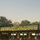 킹덤골프스튜디오 | 올랜도 여행 DAY3 디즈니월드 애니멀킹덤, 앱콧 파크호퍼, 추천어트랙션, 마이리얼트립 할인 쿠폰, 예약...