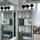 모블링스 부산지사