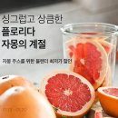 달콤마켓 이미지