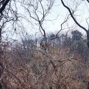 반구대로 이미지