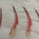 수뿔마을 이미지