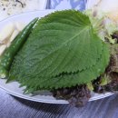 우리동네수산시장
