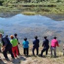 다슬기초량마을 이미지