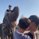 댕유지낭 | 처음으로 비가 안온 제주여행 그리고 댕유지낭
