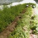 다올농장 이미지